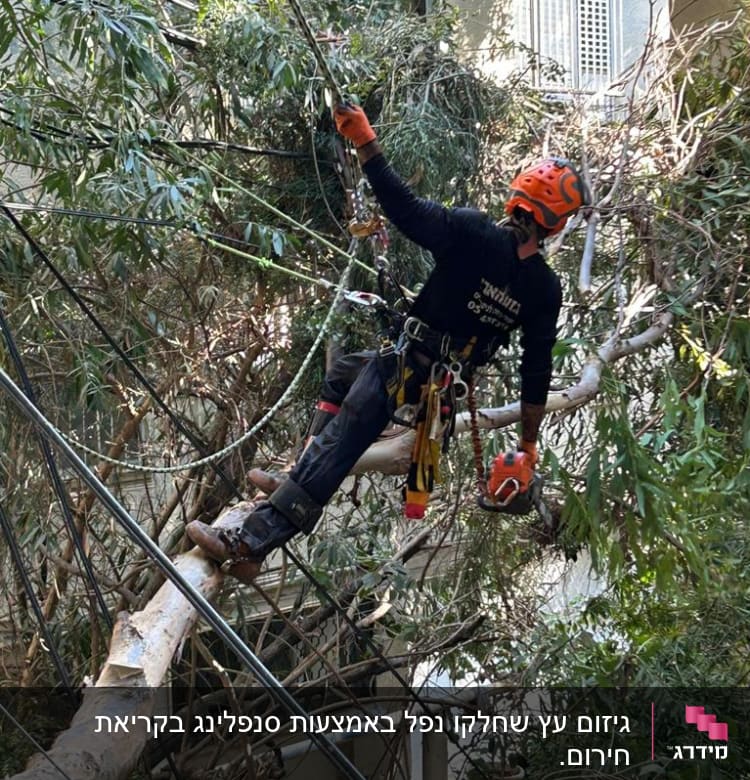 אדם עם קסדה חותך ענפים בעזרת מסור חשמלי